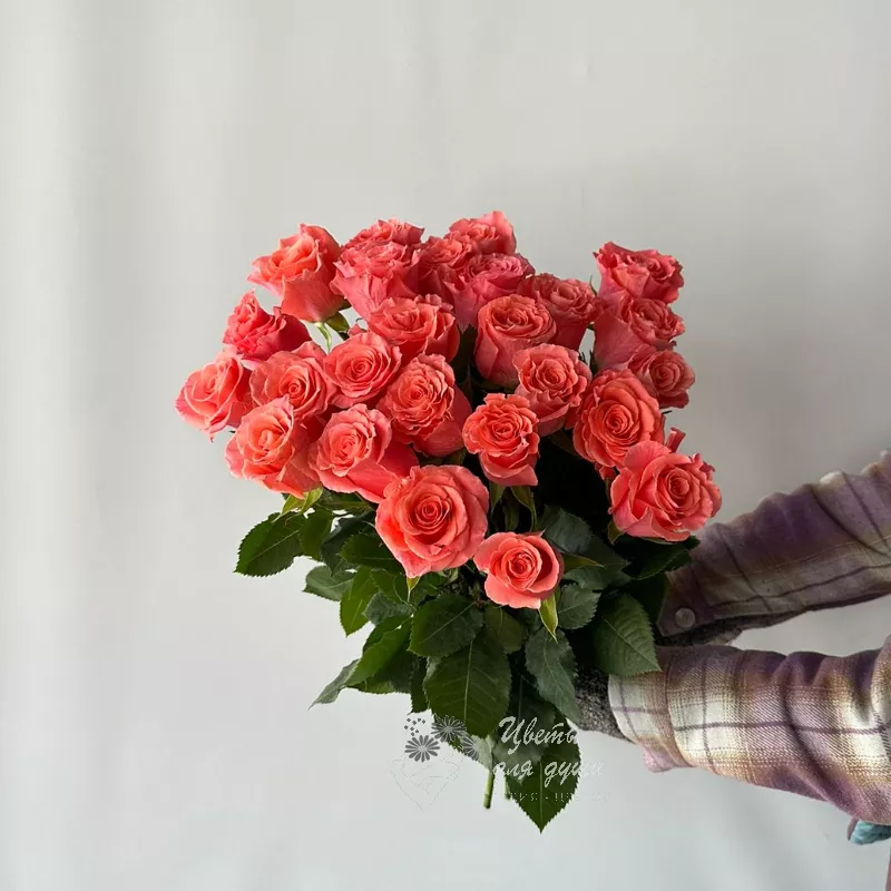 25 роз  «Амстердам» 