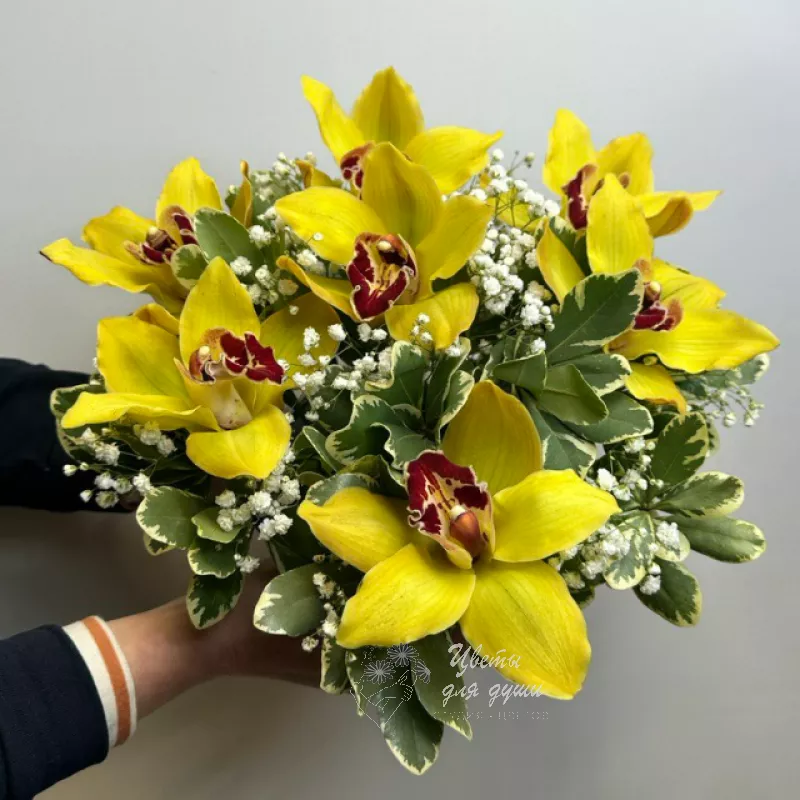 Композиция из Желтой орхидеи