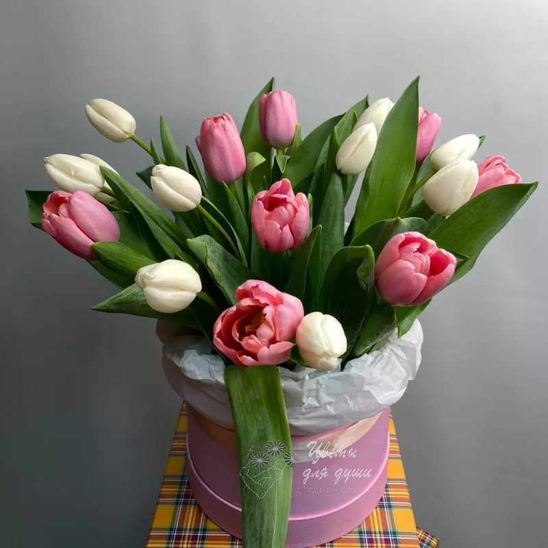 Коробка 19 тюльпанов Нежность