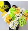 Комбо-предложение 11 хризантем «Яркий»