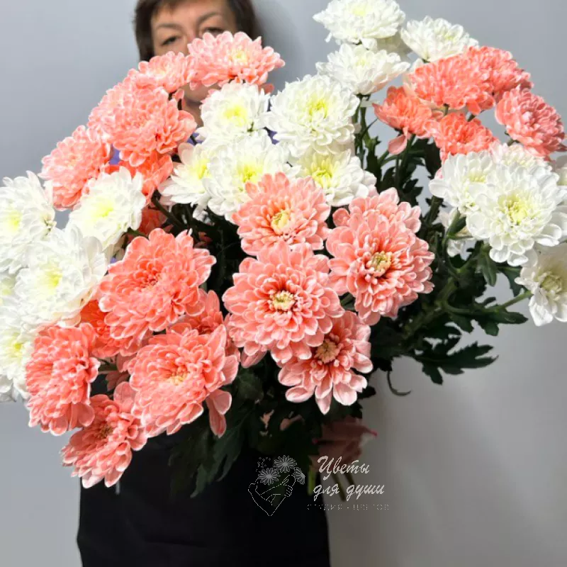 Монобукет из 9 хризантем