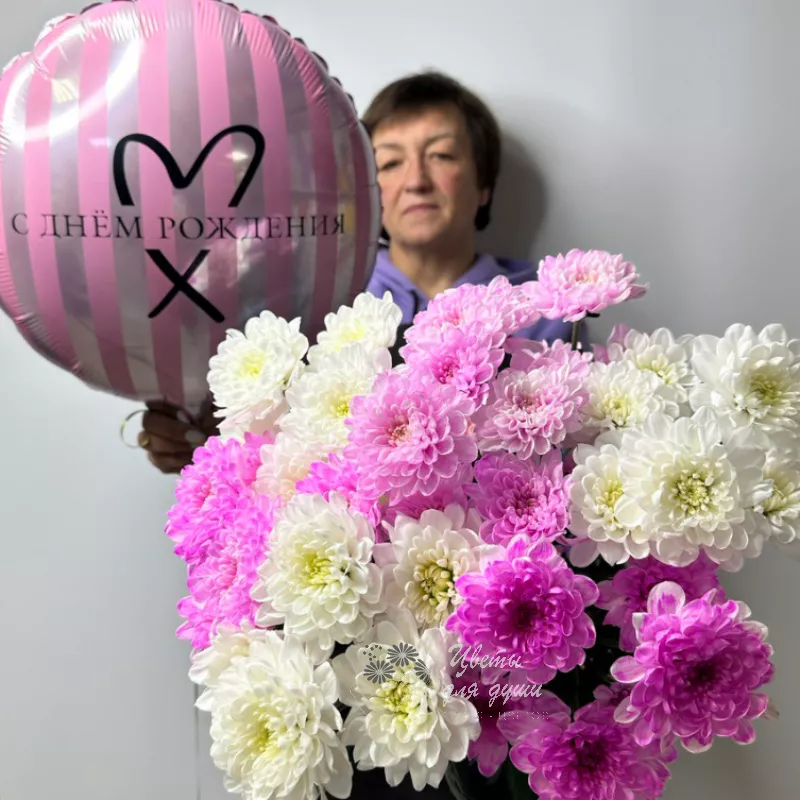 Комбо-предложение  7 хризантем «С днем рождения» фуксия