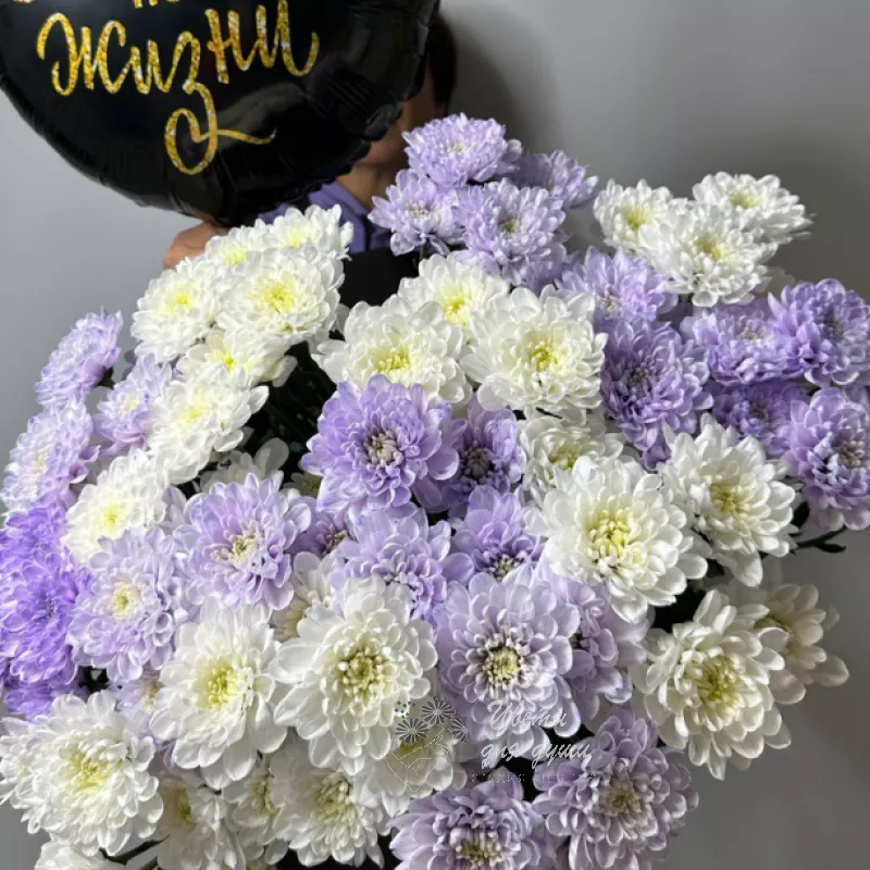 Комбо-предложение 15 хризантем «Звезда по жизни»