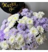 Комбо-предложение 15 хризантем «Звезда по жизни»