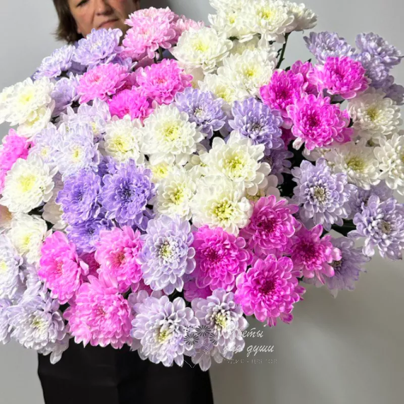 Монобукет 17 хризантем «Разноцветье»