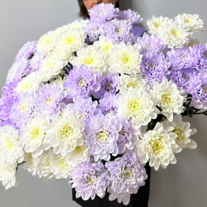 Монобукет 15 хризантем  «Теплый привет»