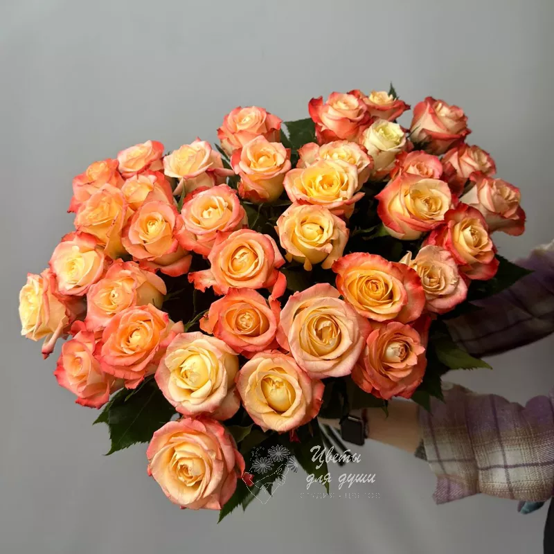 35 роз  «Кабарет»