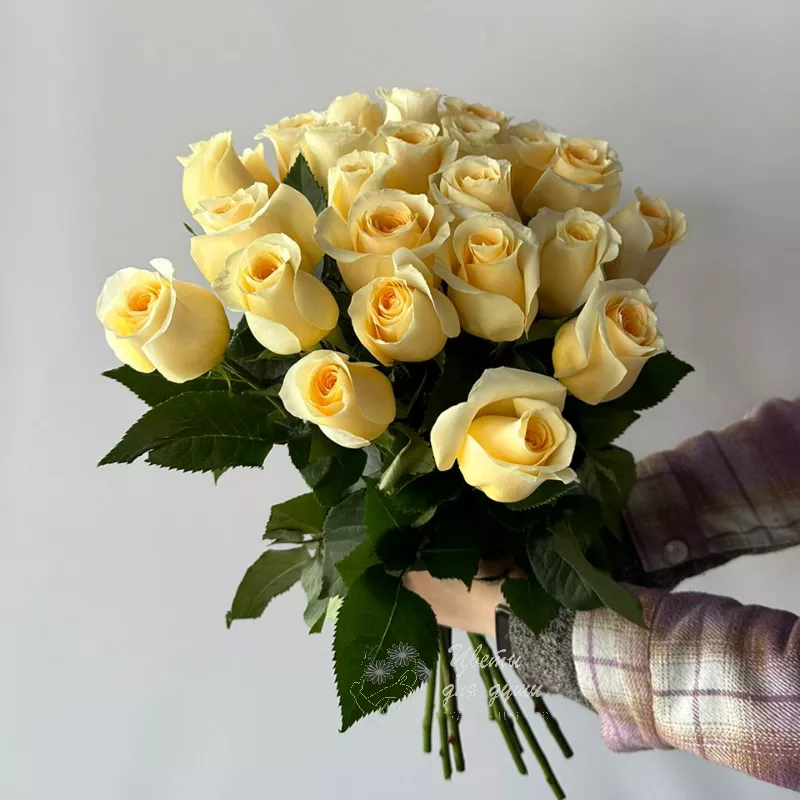 25 роз  «Лотос» 