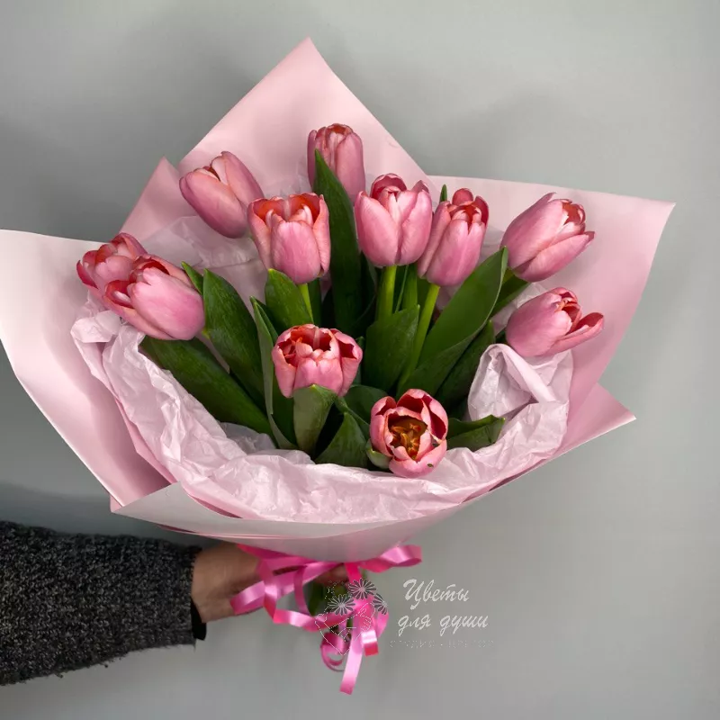 11 тюльпанов Нежный привет