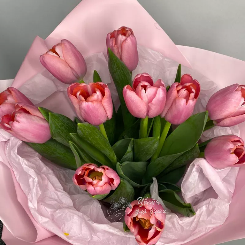 11 тюльпанов Нежный привет 1
