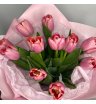 11 тюльпанов Нежный привет 1