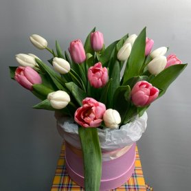 Коробка 19 тюльпанов Нежность от интернет-магазина «Цветы для души» в Новосибирске