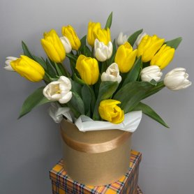 Коробка 19 тюльпанов Солнце от интернет-магазина «Цветы для души» в Новосибирске