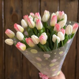 31 тюльпан бело- розовый от интернет-магазина «Цветы для души» в Новосибирске