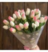 31 тюльпан бело-розовый