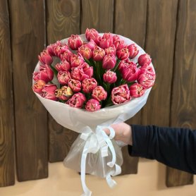 35 пионовидный тюльпан Сказка от интернет-магазина «Цветы для души» в Новосибирске