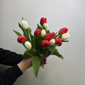 13 тюльпанов Привет от интернет-магазина «Цветы для души» в Новосибирске
