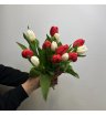 13 тюльпанов Привет