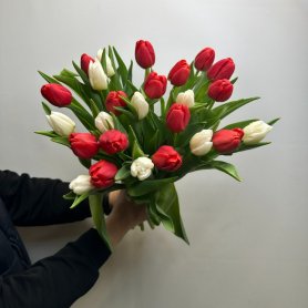 25 тюльпанов Инь Янь от интернет-магазина «Цветы для души» в Новосибирске