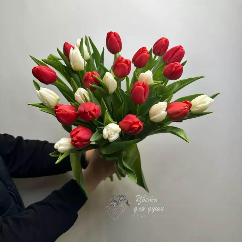 25 тюльпанов Инь Янь