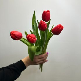 5 красных тюльпанов от интернет-магазина «Цветы для души» в Новосибирске