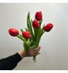 5 красных тюльпанов