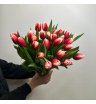 25 тюльпанов Весна 