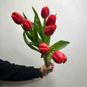 7 красных тюльпанов от интернет-магазина «Цветы для души» в Новосибирске