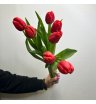 7 красных тюльпанов