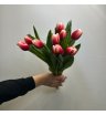 9 тюльпанов Незабудка