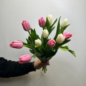 11 тюльпанов Нежность от интернет-магазина «Цветы для души» в Новосибирске