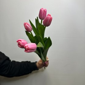 5 тюльпанов Любовь от интернет-магазина «Цветы для души» в Новосибирске