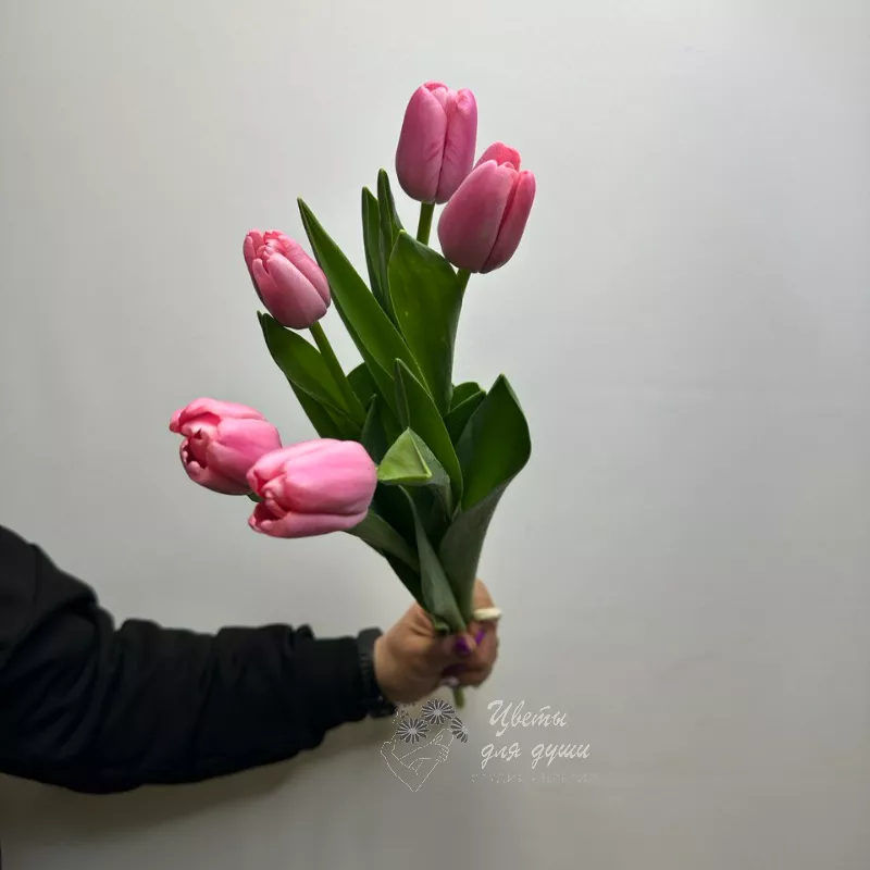 5 тюльпанов Любовь