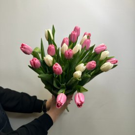 25 тюльпанов Нежность от интернет-магазина «Цветы для души» в Новосибирске