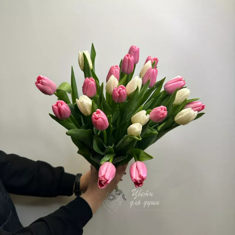 25 тюльпанов Нежность