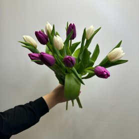 11 тюльпанов Тандем от интернет-магазина «Цветы для души» в Новосибирске