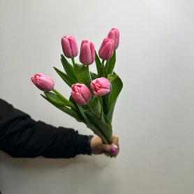 7 тюльпанов Нежность от интернет-магазина «Цветы для души» в Новосибирске