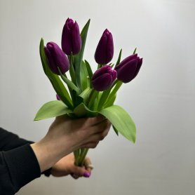 5 сиреневых тюльпана от интернет-магазина «Цветы для души» в Новосибирске