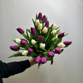 25 тюльпанов Тандем от интернет-магазина «Цветы для души» в Новосибирске