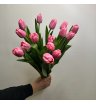 15 тюльпанов Нежность