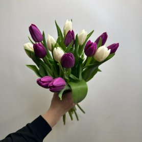 15 тюльпанов Тандем от интернет-магазина «Цветы для души» в Новосибирске