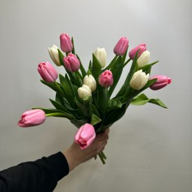 15 тюльпанов Нежность Весны от интернет-магазина «Цветы для души» в Новосибирске
