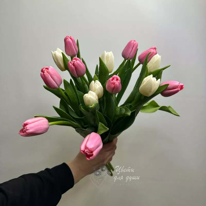 15 тюльпанов Нежность Весны