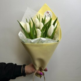 Букет 9 тюльпанов Воздушность от интернет-магазина «Цветы для души» в Новосибирске