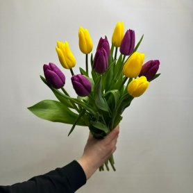 11 тюльпанов  Яркий от интернет-магазина «Цветы для души» в Новосибирске