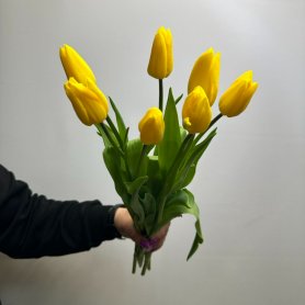 7 желтых тюльпана от интернет-магазина «Цветы для души» в Новосибирске