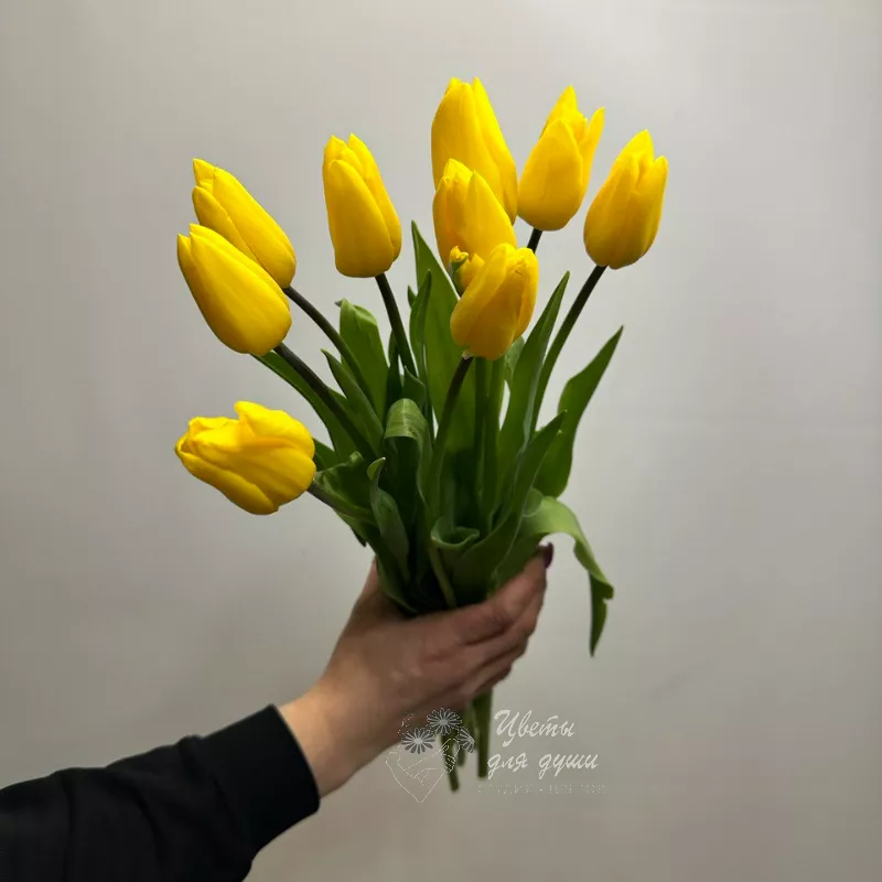 9 желтых тюльпанов