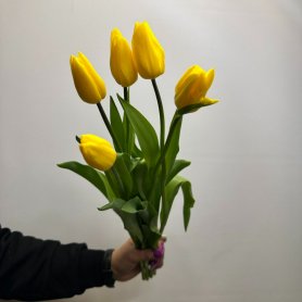 5 желтых тюльпана от интернет-магазина «Цветы для души» в Новосибирске