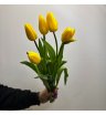 5 желтых тюльпана