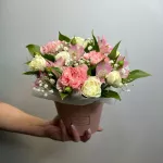 Композиции